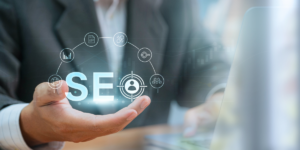 Search Engine Optimization Company Tampa | Local SEO Experts